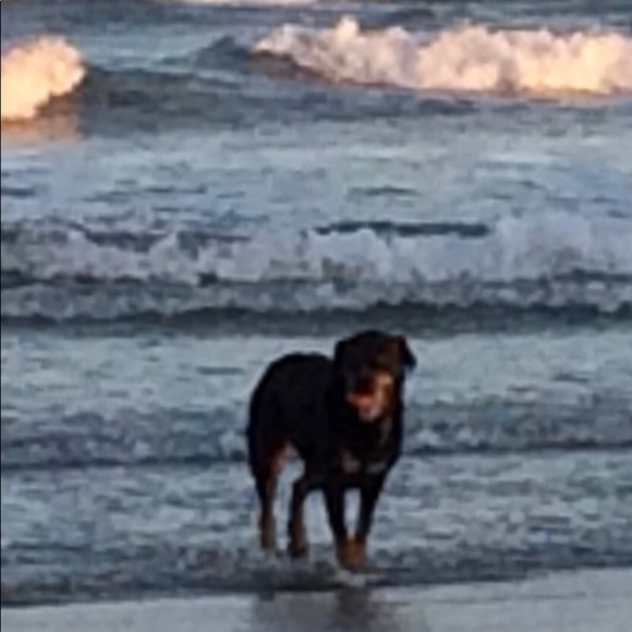 Meet your Posher, Jennifer - Picture 3 of 6